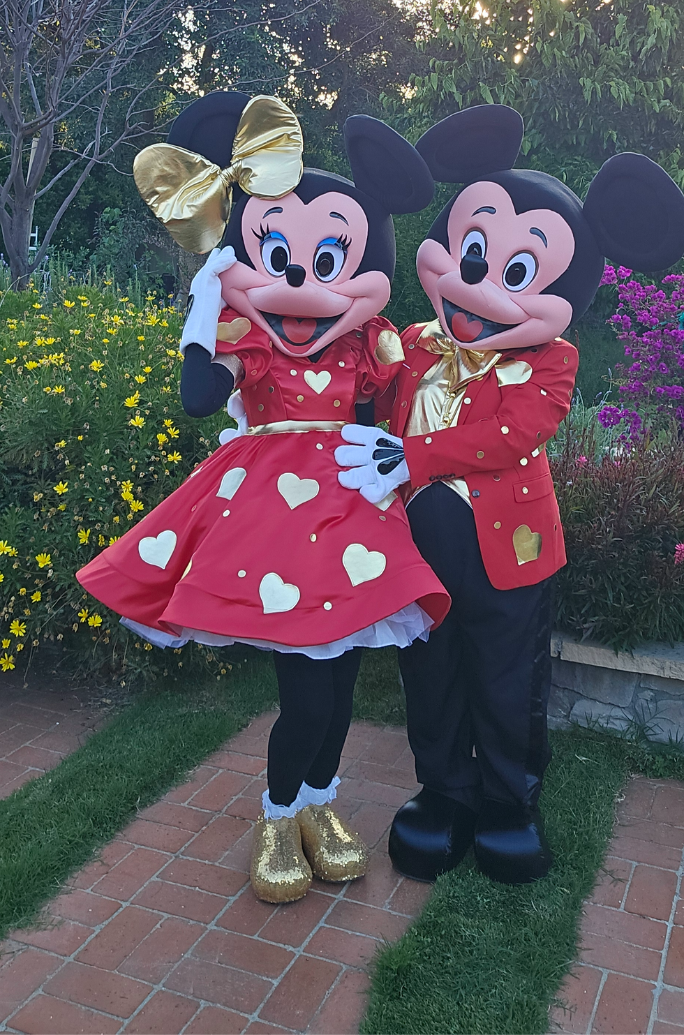 Mickey or Minnie Mouse  Gold Heart Valentine mascot adaptation costume