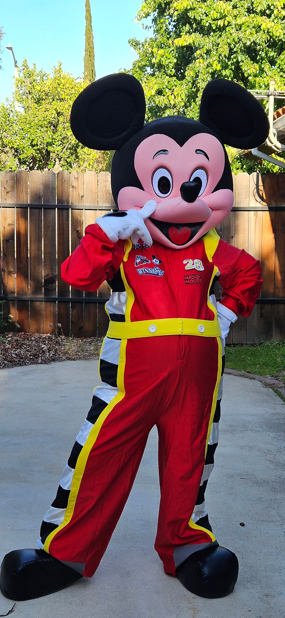 Miniatura: mickey minnie mouse mascot rent racers