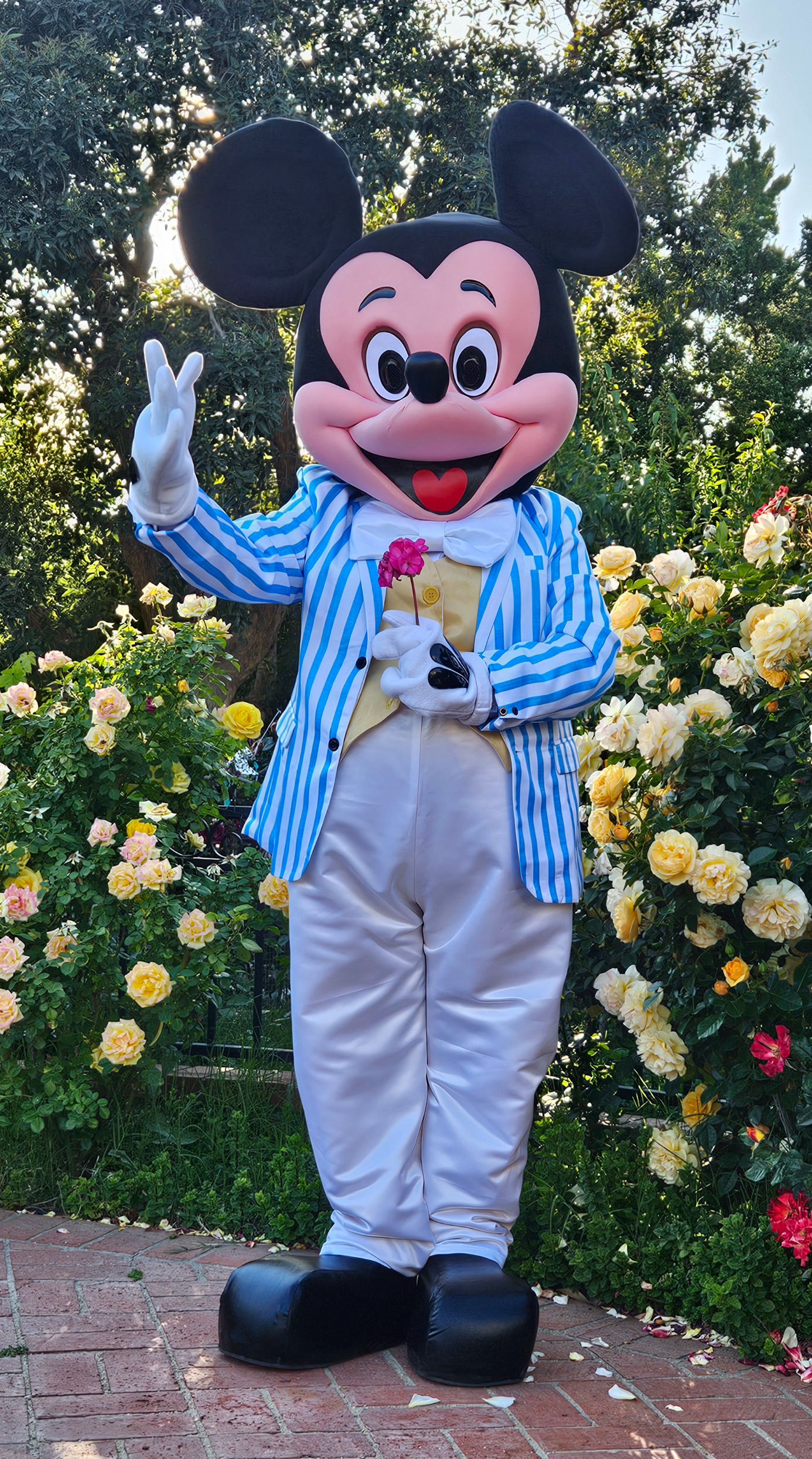 Mickey Mouse Easter Spring Summer Party adaptation mascot costume. Rent