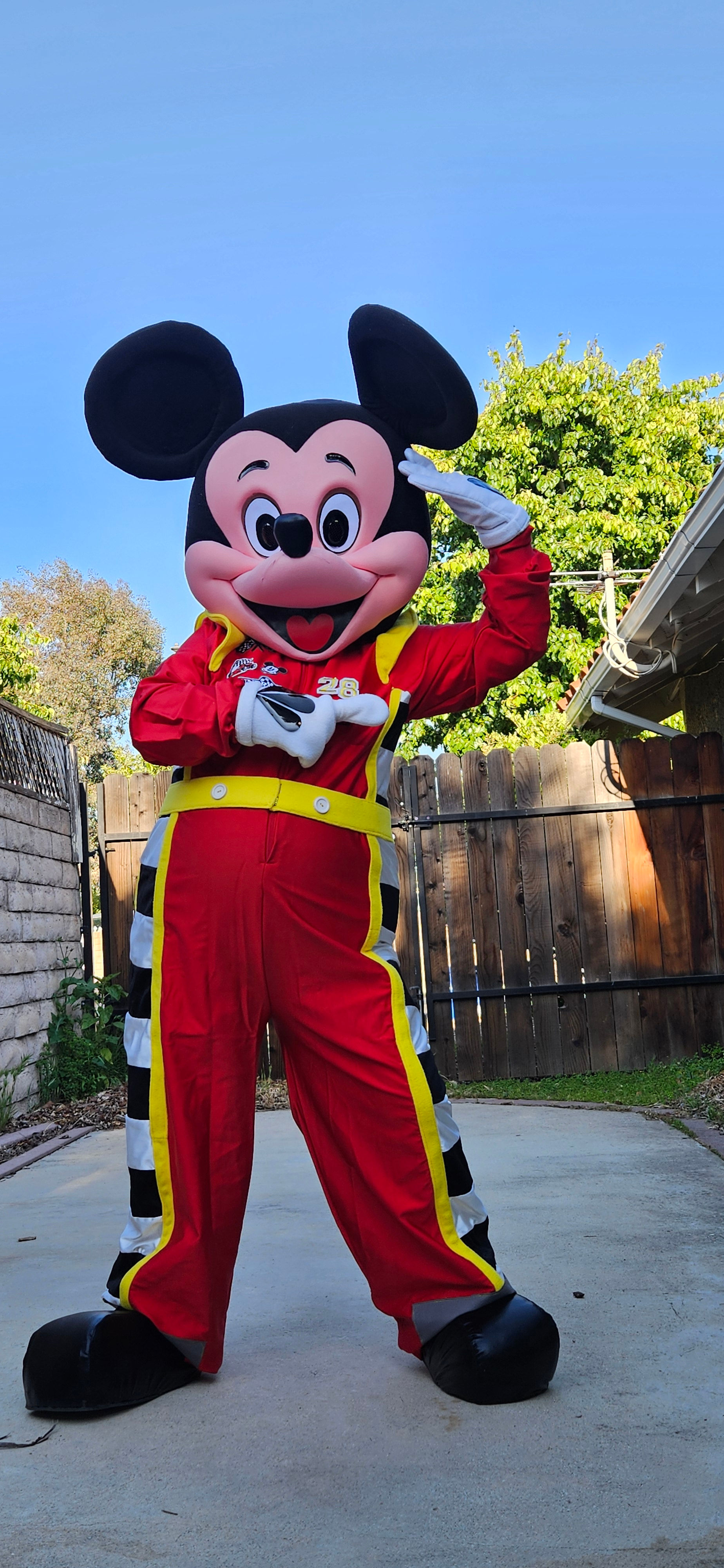 mickey minnie mouse mascot rent racers