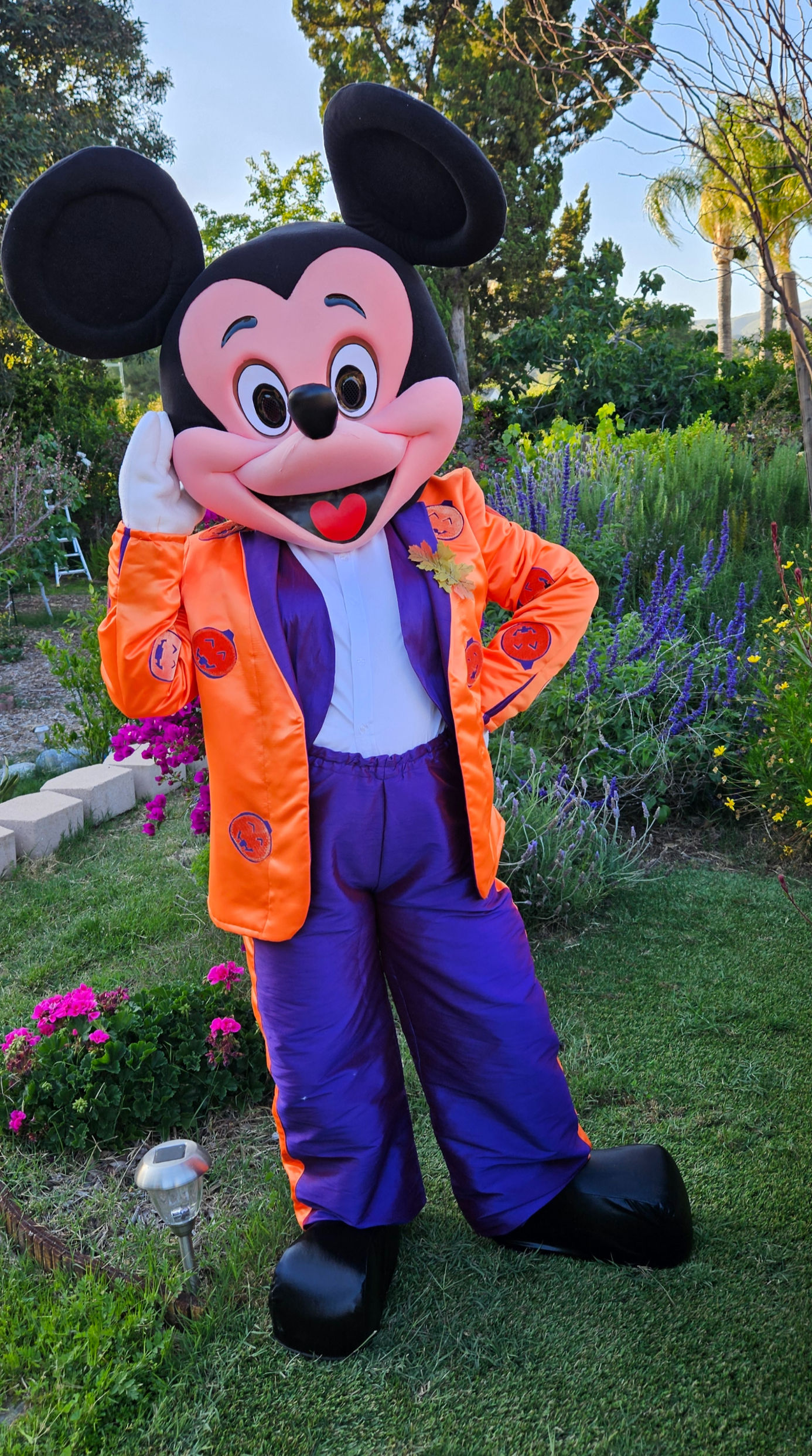 Mickey Mouse Halloween adaptation mascot costume.