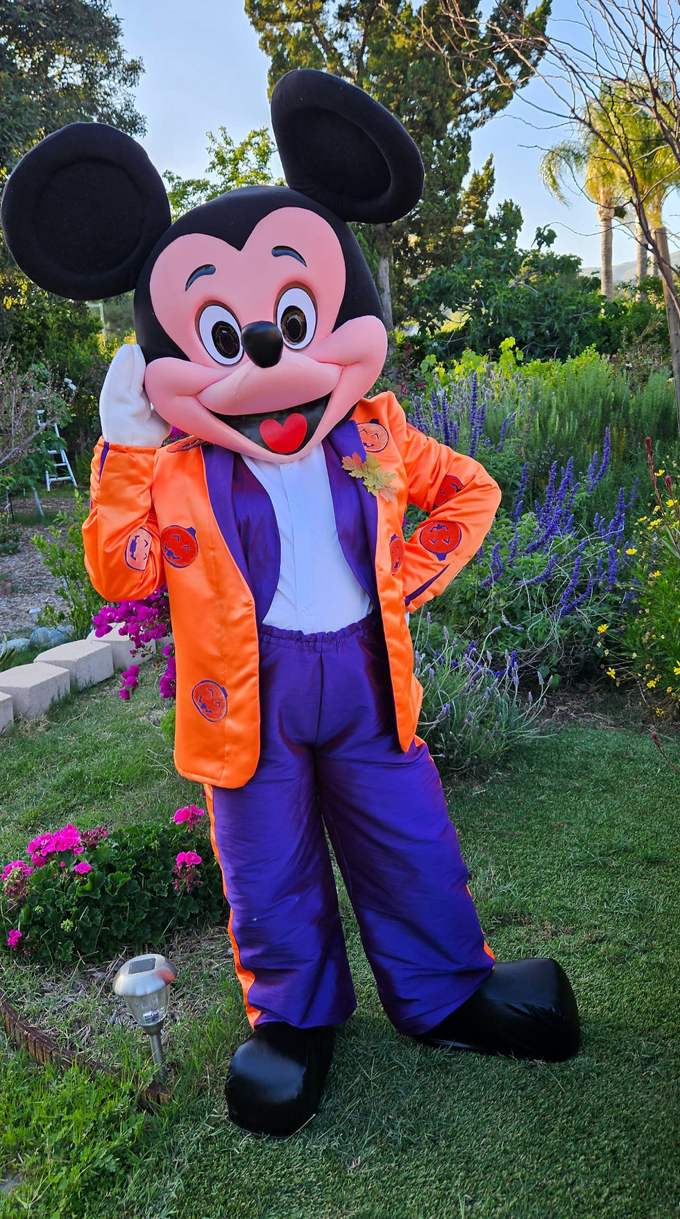 Mickey Mouse Halloween adaptation mascot costume.
