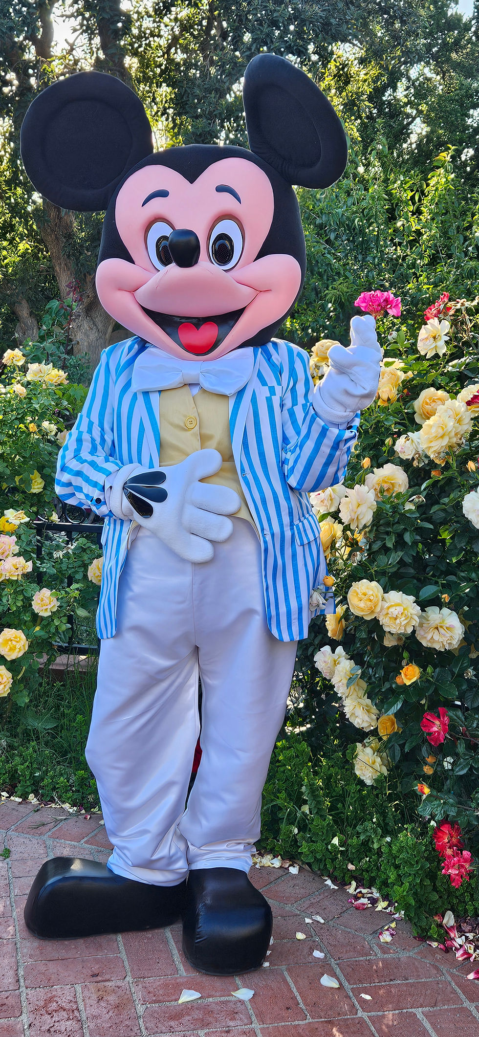 Mickey Mouse Easter Spring Summer Party  adaptation mascot costume. Rent