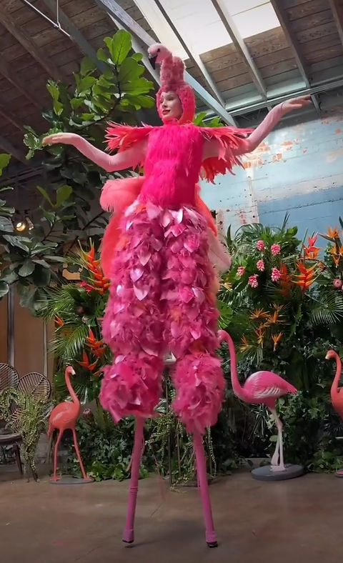 pink flamingo dress up DIY Halloween Costume: Flamingo