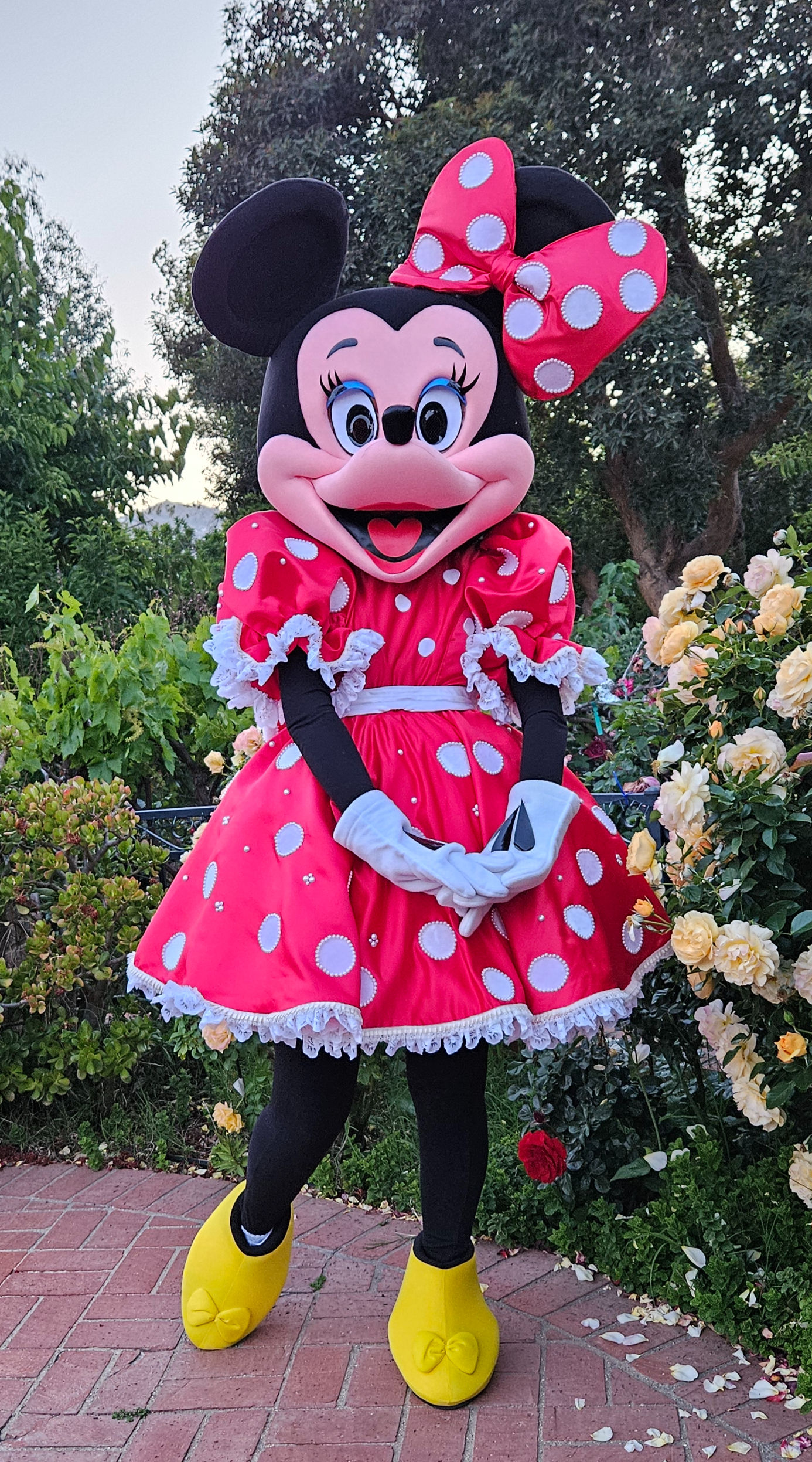 Minnie Mouse Classic mascot adaptation costume. Red Polka Dot Dress. Rent.