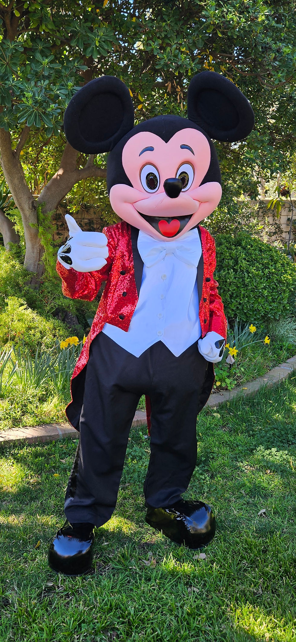 Mickey Mouse Ringmaster mascot adaptation costume. Black and Red Suit. Rent.