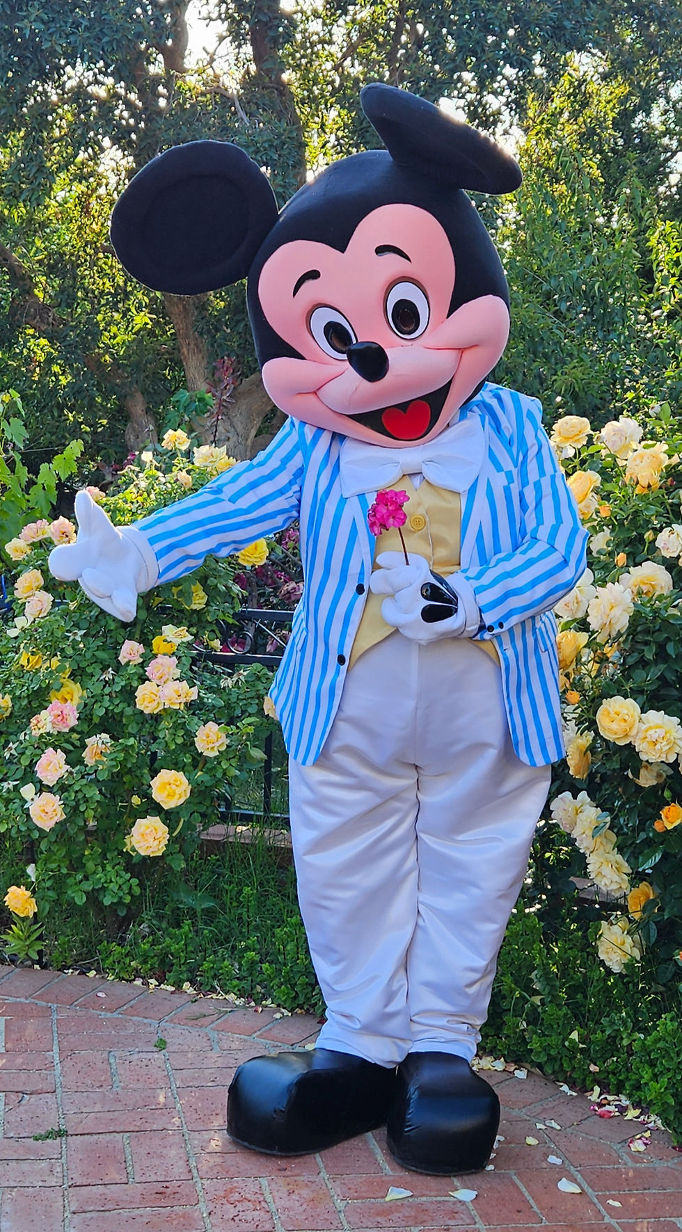 Thumbnail: Mickey Mouse Easter Spring Summer Party  adaptation mascot costume. Rent