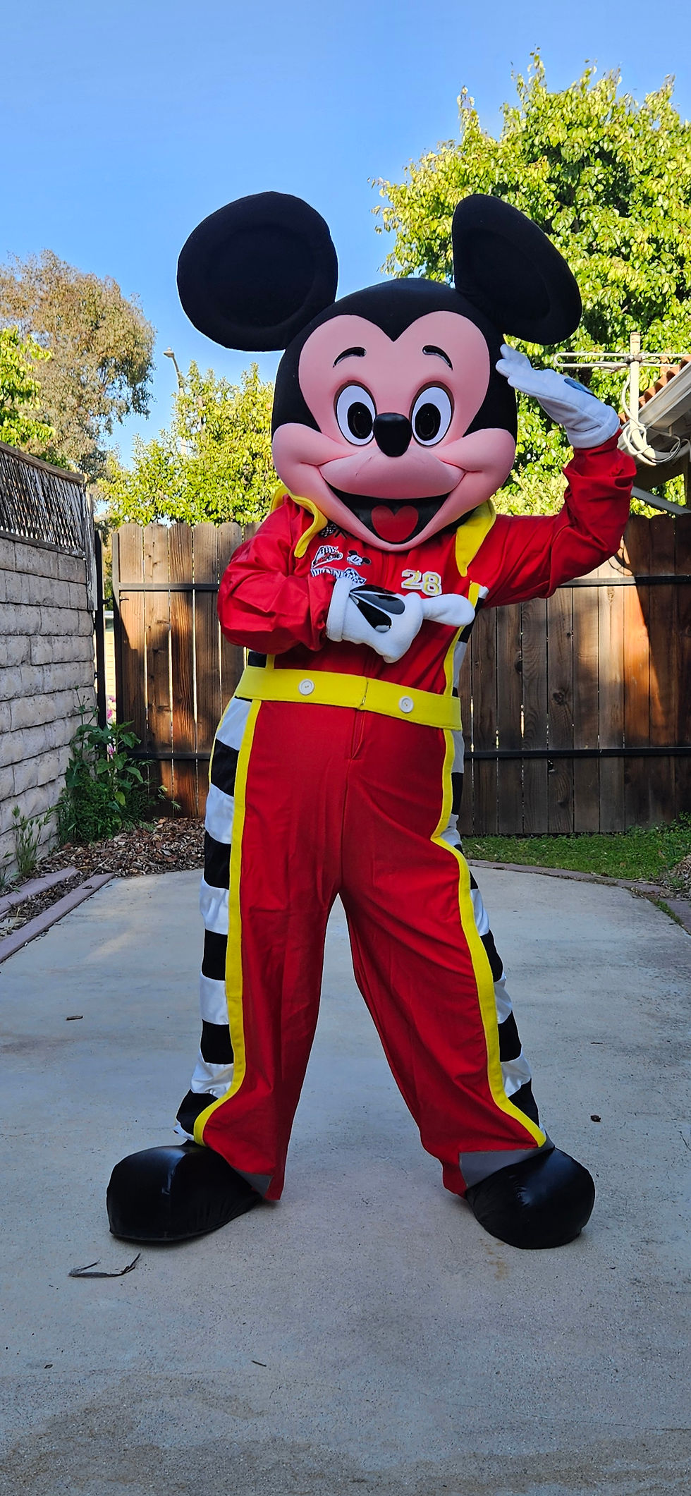 Thumbnail: mickey minnie mouse mascot rent racers