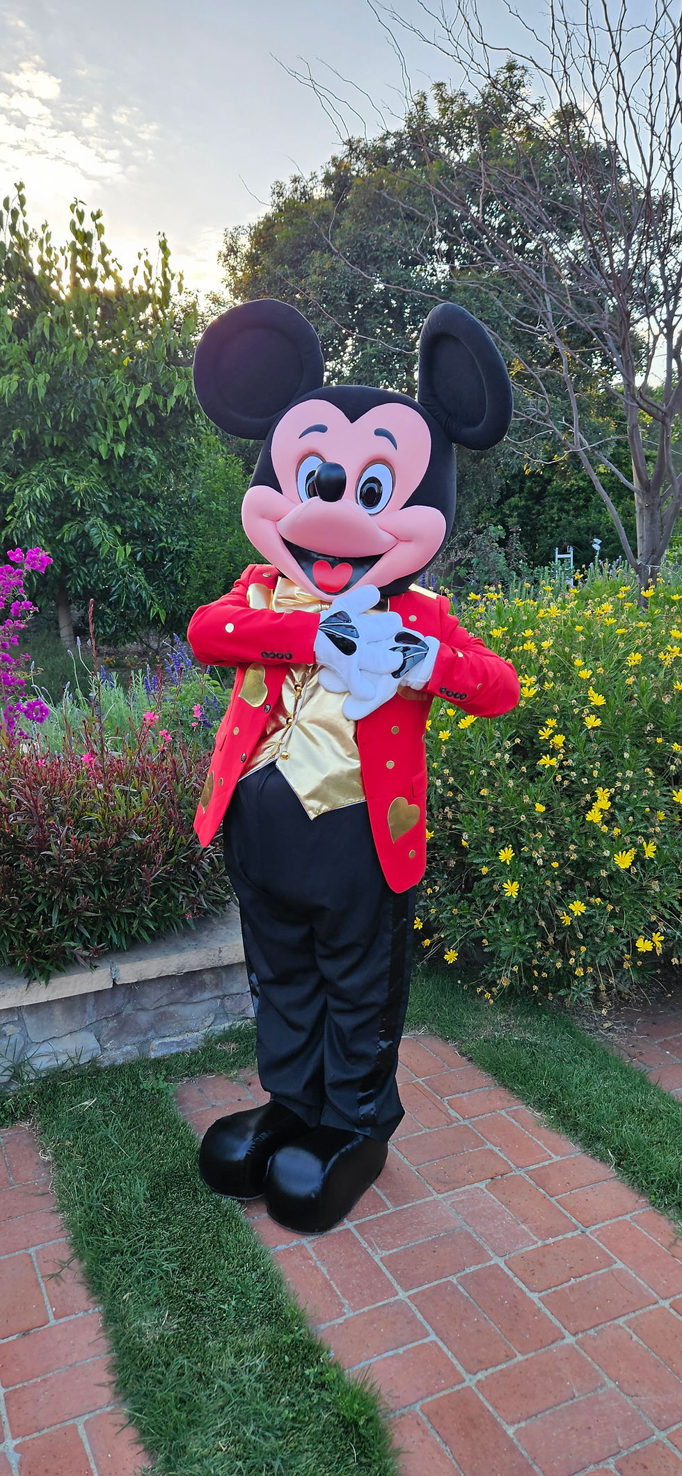 Miniaturbild: Mickey or Minnie Mouse  Gold Heart Valentine mascot adaptation costume