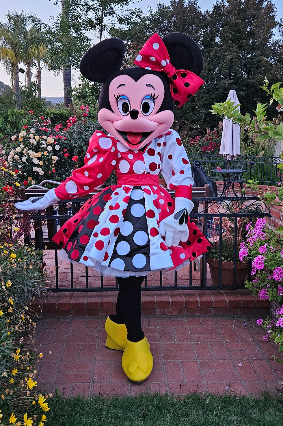 Minnie Mouse mascot adaptation costume. Crazy Polka Dot Dress. Party. Rent.