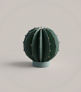 premium minimal 3D render of a spherical cactus with clean geometric ribs, soft studio lig