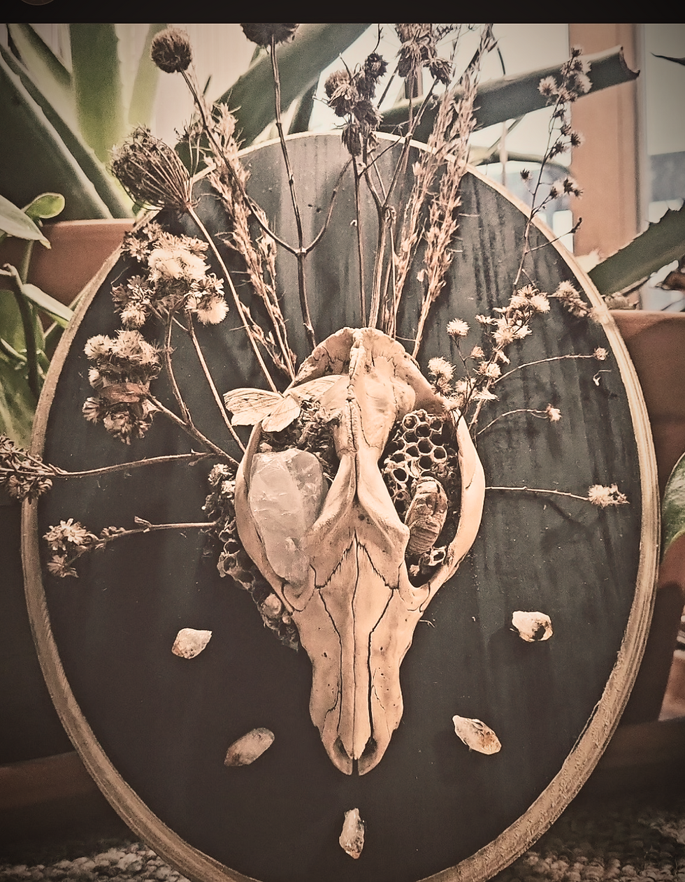 Animal skull and dried flowers art by about the creators