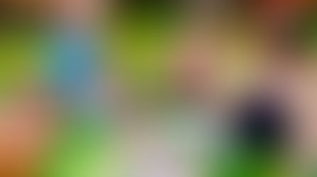 Velikonoční přípravy u Medvídků