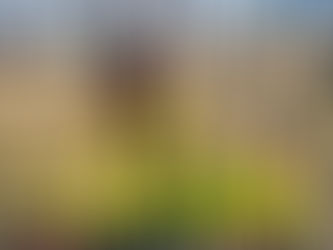 Třída Medvídek - V lesoparku Marlenka