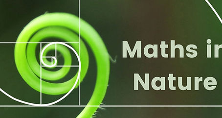 MATHEMATICS IN NATURE: Exploring Mathematics In Nature World