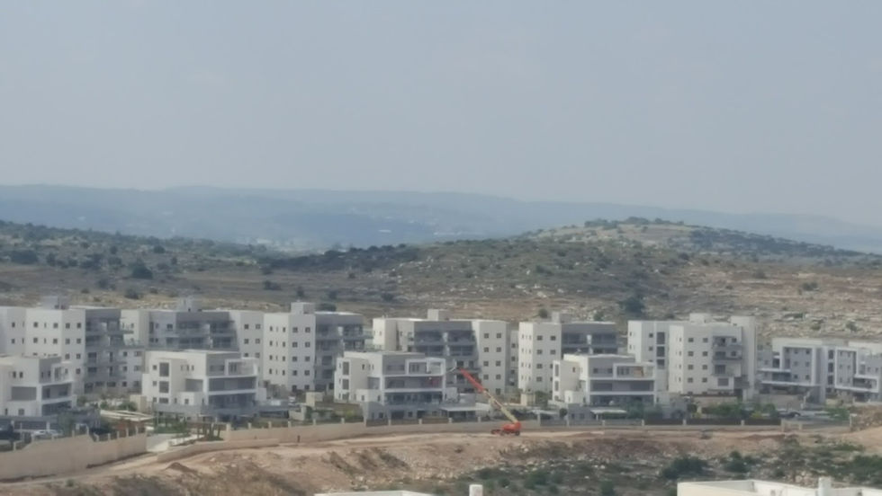 Tziporim Early Stages of Development 