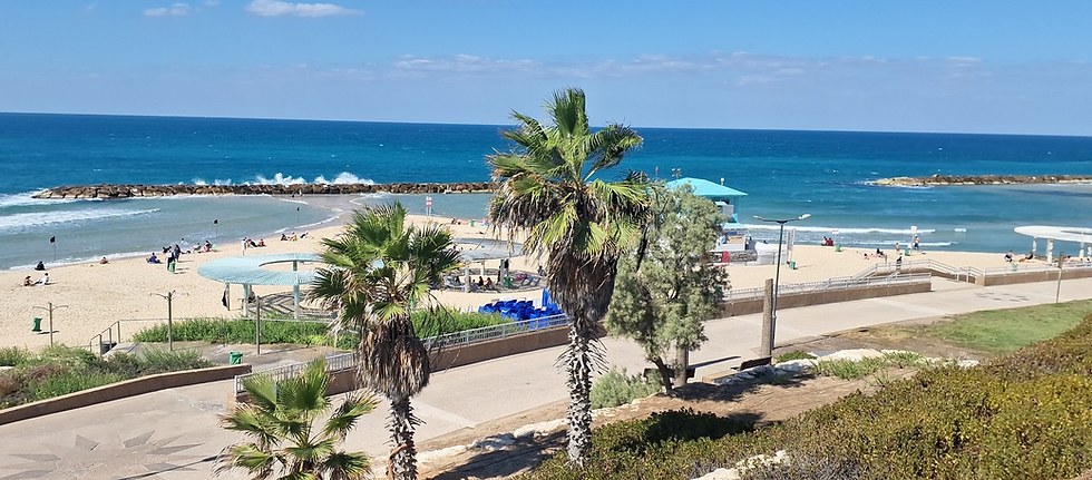 Sunny day at Ashkelon Beach & Promenade, with people enjoying the golden sands, turquoise waters, and lush palm trees lining the walkway.
