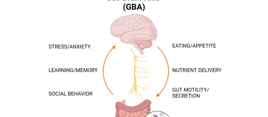 Gut-Brain Axis