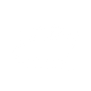 🚢.png