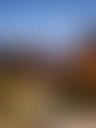 Explore the Beauty of Mt. Fuji with Our Private Day Tours