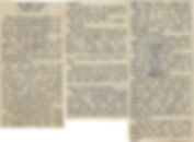 Article.jpeg