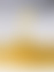 Mengatasi Tantangan Umum dengan Lem Kuning Serbaguna