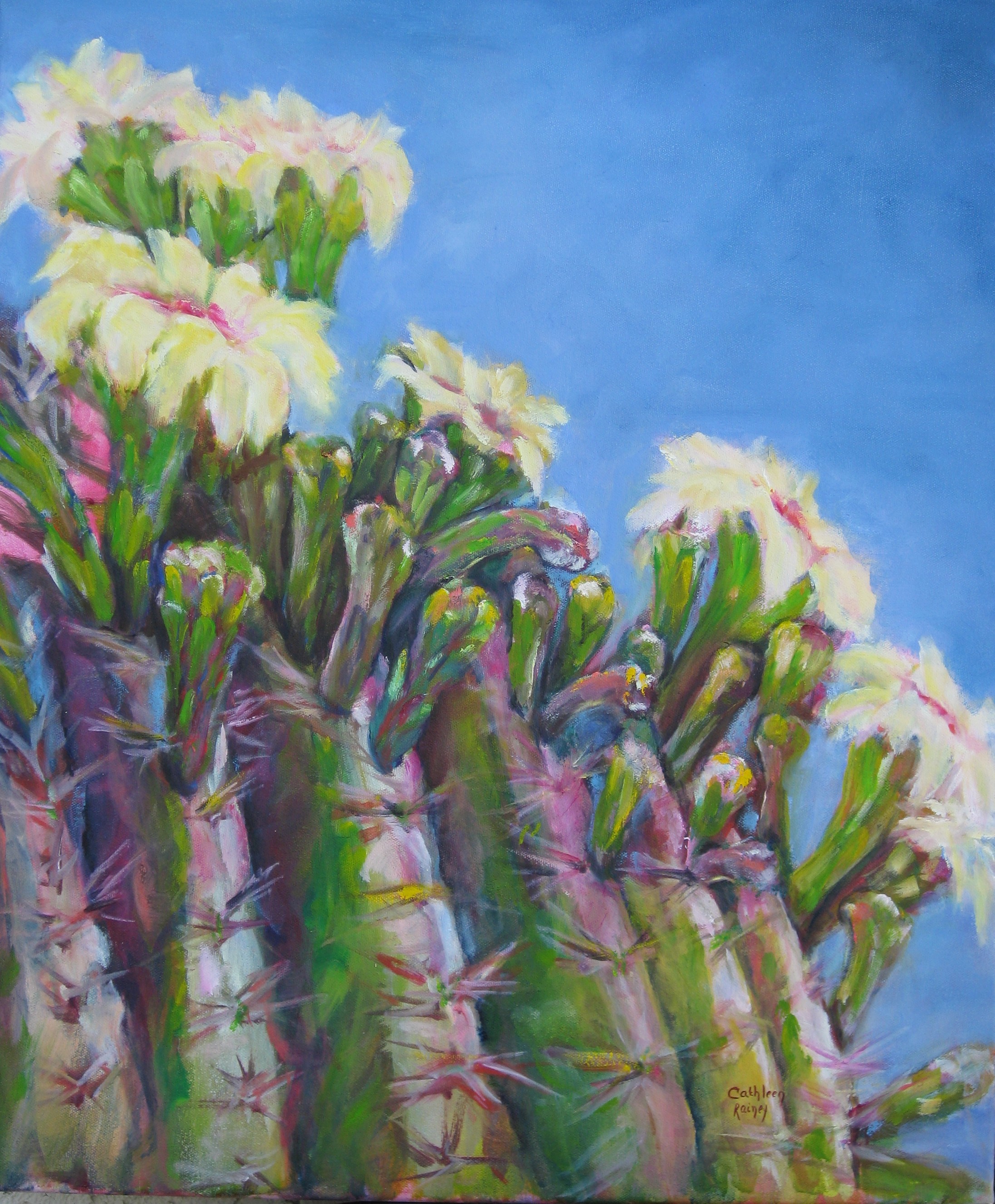 Cortez Road - May Blooms