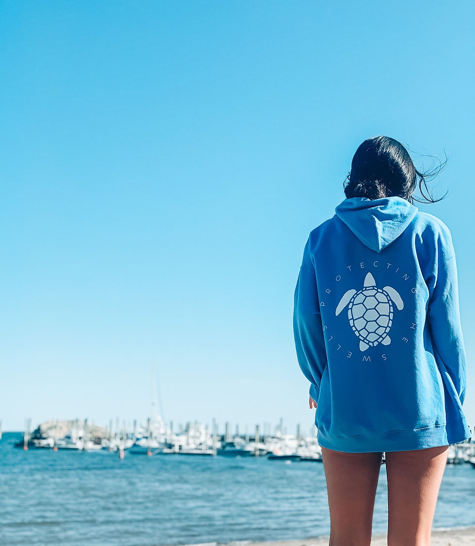 Thumbnail: Carolina Blue Turtle Hoodie