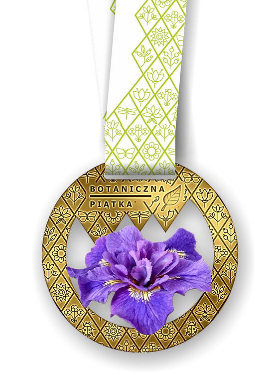 Botaniczna Piątka Nocna irys przód.png