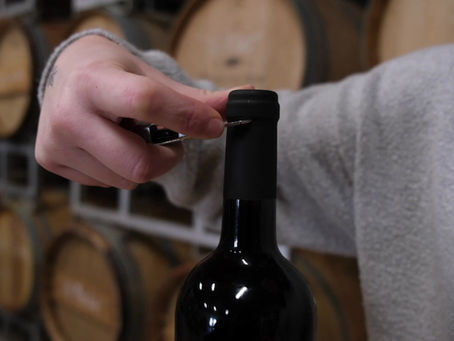 Decanting and aerating wine made easy🍷