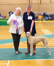 BVIS Tyne, Wear and Tees HA open Show — with Nicola Spencer.