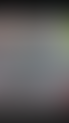 hjoja de firmas segundo parceal