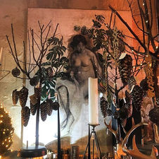 jardin d'ombres - marché noël