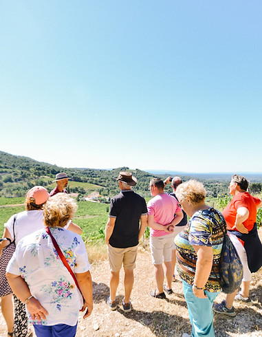Henri doing a guided tour with a group of vistors, standing at the top of the Lao Muse field with views of the vineyard and the Comtat Venaissin plain