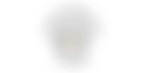 Les Bateliers 2020 : Médaille d'Or au Concours des Vignerons Indépendants 2022         