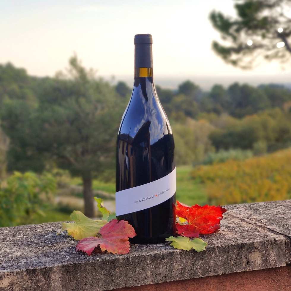 Thumbnail: Bouteille du vin rouge bio Lao Muse en format magnum