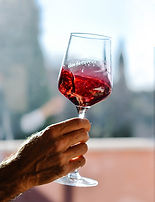 Photo d'un verre de vin Clos de Caveau tournant à la main
