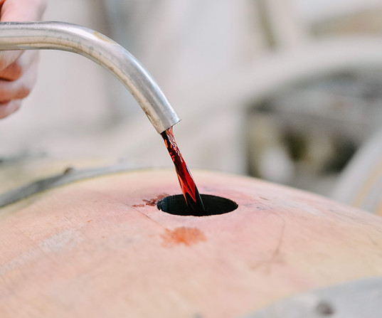 Red wine being poured into oak barrel for aging