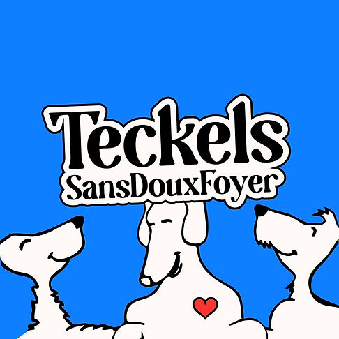 Teckels sans doux foyer.jpg