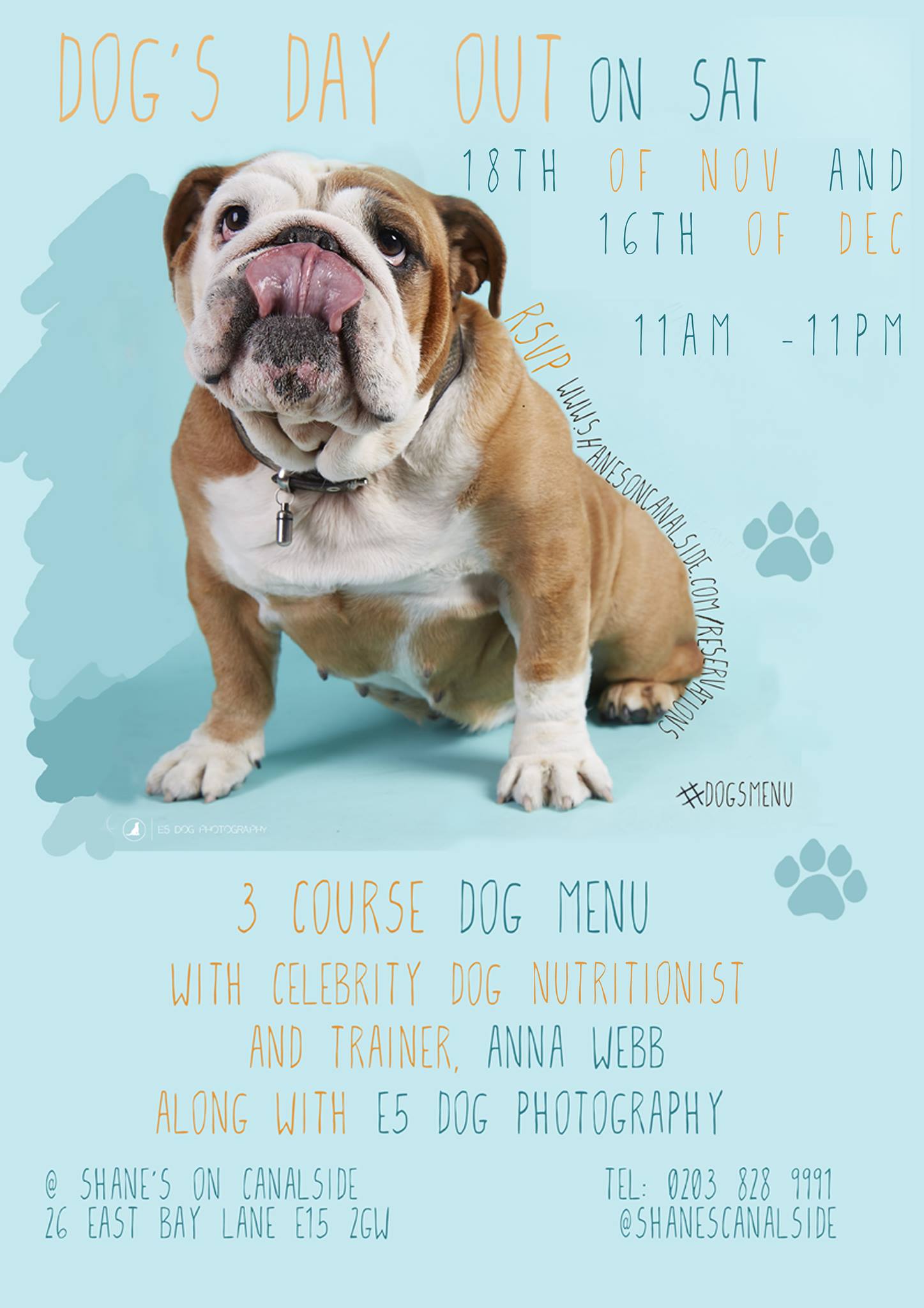 Dog's Day out 18 Oct 2017 London