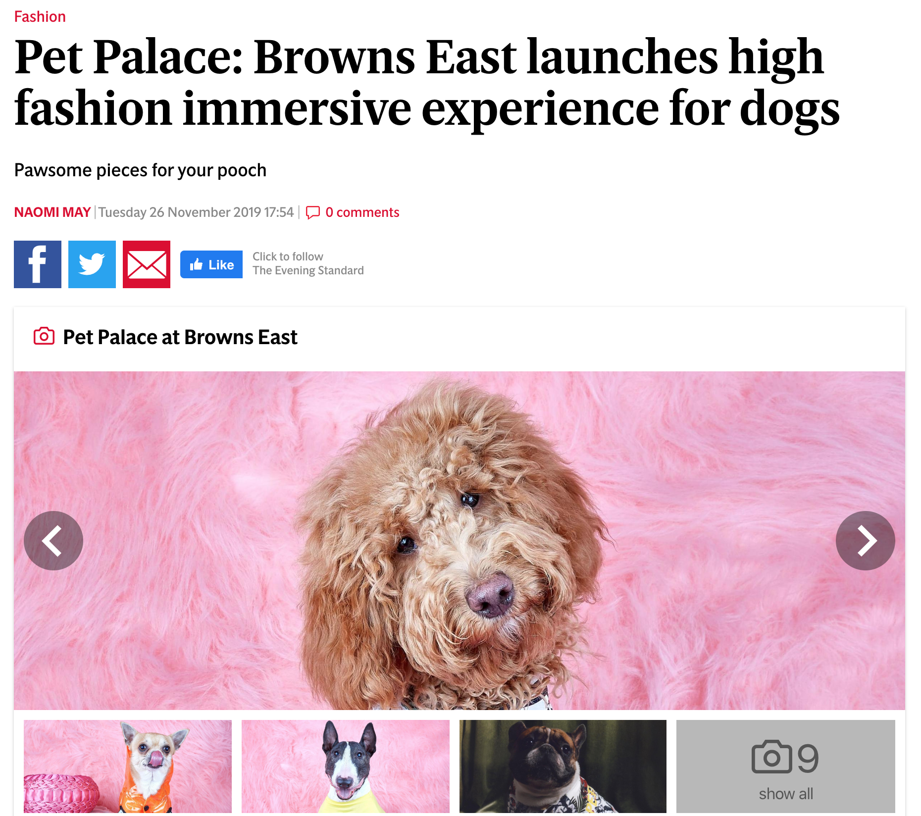 Pet Palace at the Browns Fashion