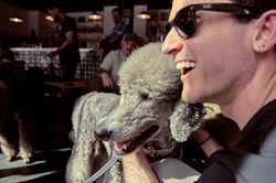 E5_Dog_Photography_BarksandBoys_Arzner_2026_ 19