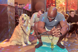 E5_Dog_Photography_TheCockTarvernLondon_Doga_2025 17