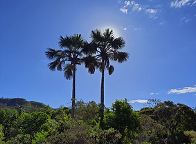 20230911_153750.jpg