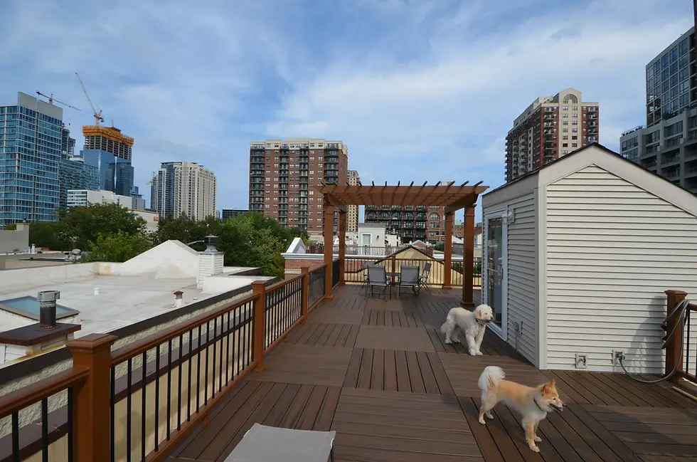 Roof top deck with a free-standing pergola in Chicago.