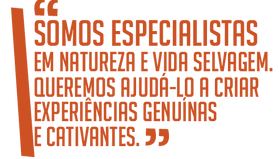 frase turismo_somos especialistas-01.png