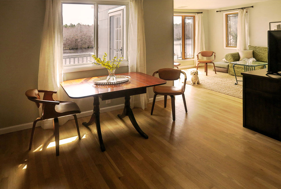 Dining Room and upper Living Room (my hypoallergenic pup visiting)