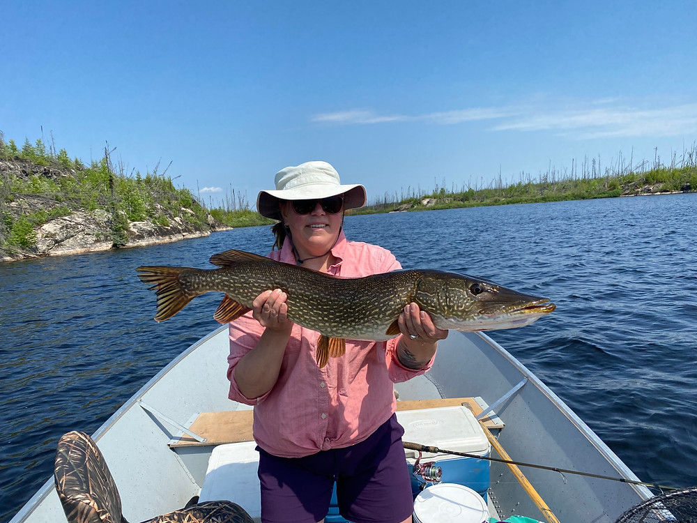 trophy pike