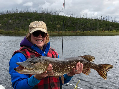 DaNICA TROPHY PIKE