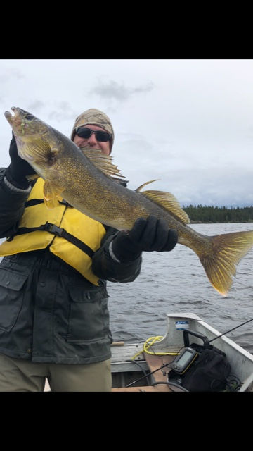 Trophy Walleye on Wathaman